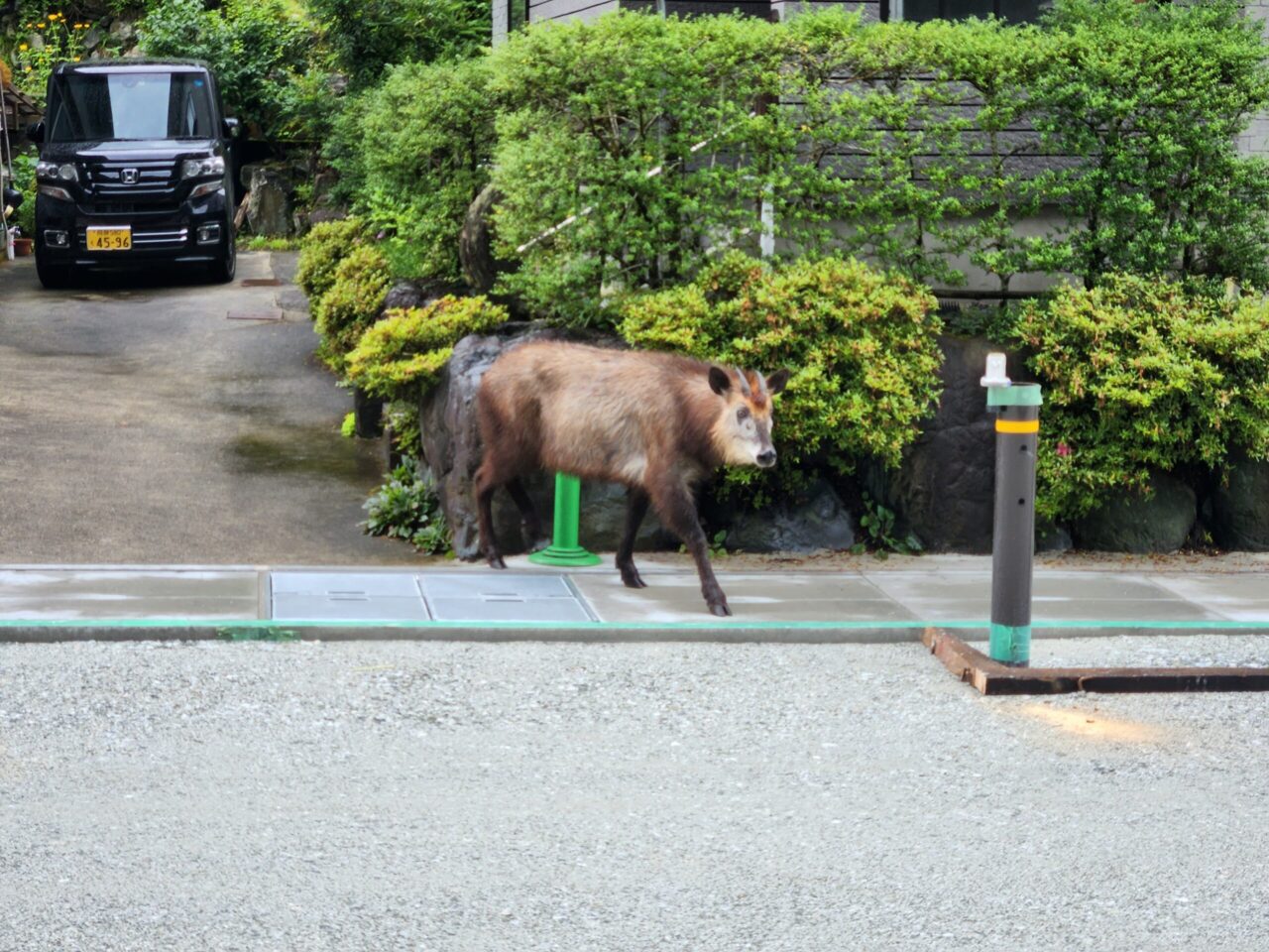 7月17日 (月)　何とか完了